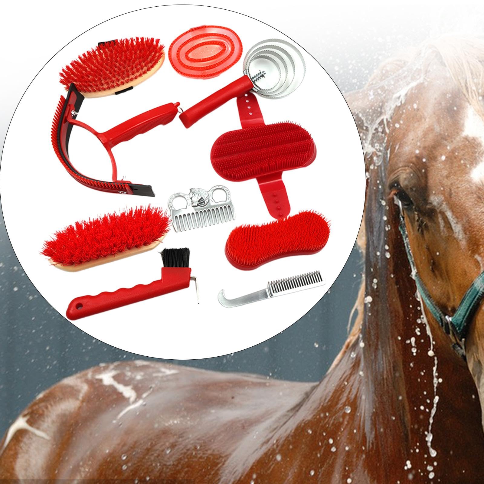 馬の飼い主のための馬用グルーミングキットギフト 個入り 馬用グルーミングブラシ