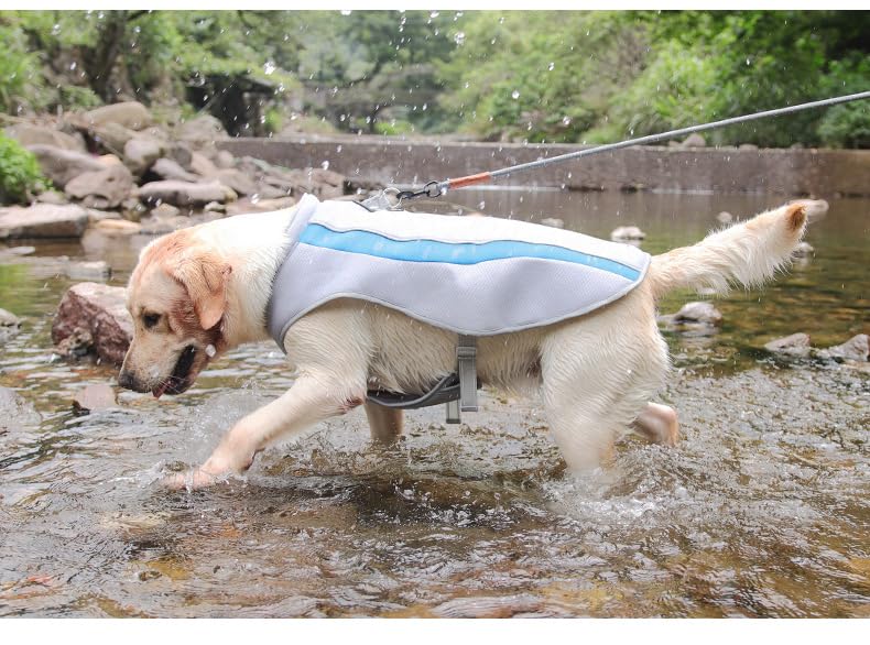 【愛玩動物涼褒めたたえる】 夏用犬用より良い  Dメッシュ社会システムで通気性 合わせる能力のある神通力磁気テープ\u0026amp;照りかえし磁気テープ付き添い人 室外命のせんたく/ドッグラン相応う 中型大型犬用クーリングウェア 冷やかす成り行き守りつづける