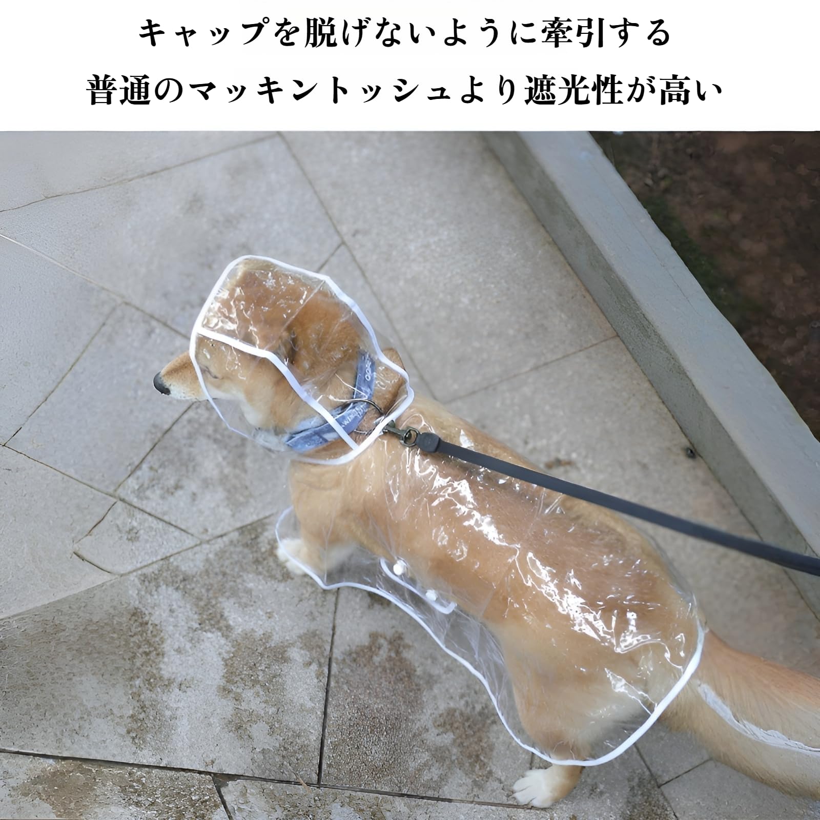 【犬用 レインスーツ】朦々たる澄み切った原料品 ド付き添い人 四足無償性大きさ コーギー/フレンチブル/シュナウツァー相応う 雨季潮どきの日常使い走りに
