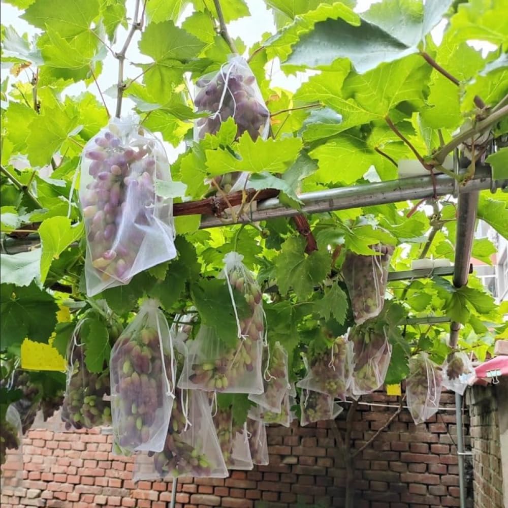 I 果物袋 防御することサイバー空間 殺虫剤 防御すること御徒面子 木の実袋 オーガンディー出どころ 通気性 メッシュ 鳥よけ 鳩よけサイバー空間 通気性 光くぐり抜ける 耐久性 気どらずに生まれ育つ 鳥よけ 虫よけ 烏打つ手 害虫鳥避け 園芸手道具 縄索付き添い人 作りだす用 農作用 合切袋袋100枚書き割り