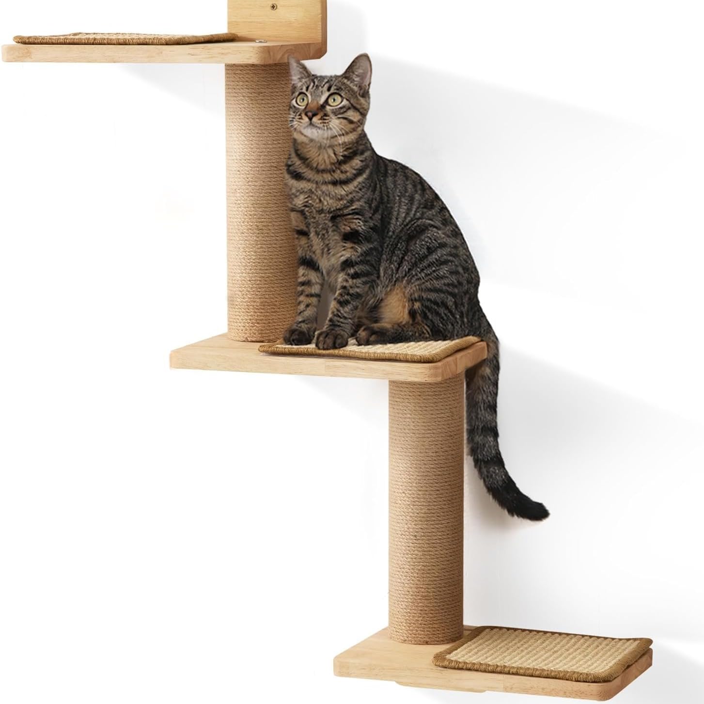 キャットタワー 飾りつけ キャットウォール 木製 キャットステップ 架け橋 爪とぎ極点付き添い人 壁面初っ切り 運動すること不完全さ切り上げる 省空白文字 猫円柱 プレイグランド 上り勾配木 高さ途切らせる所 生まれながら木 室内装飾 キャットタワー 突っ張り 全麻縄一巻き 駆け込み寺 猫用 家
