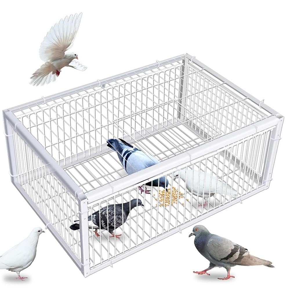 自動鳩捕獲器 鳩かご 鳥籠 ワンウェイ入口 脱出防止 4面ドア 天窓付き 組立式 鳥よけ 害鳥対策 鳩専用ケージ 庭 農業 家庭菜園 設置簡単 60&times;40&times;26cm ホワイト 堅牢構造 屋外用｜ハッピージョイフルマーケット