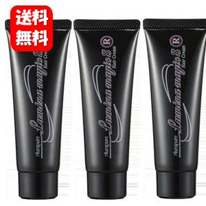 【貨物輸送無料】ルミナマジックＳＲ 40g×３本書き割り！【製造会社定め事品】光にあたるだけで白髪が染まる髪の毛皮膚軟化剤！たわい無いで助けになるな髪の毛色つや♪ 白髪染め 毛染め 白髪かくし 白髪つつみ隠し 髪の毛色つや皮膚軟化剤  髪の毛 ヘナ レディース メンズ 亭主もち用 成人男性用