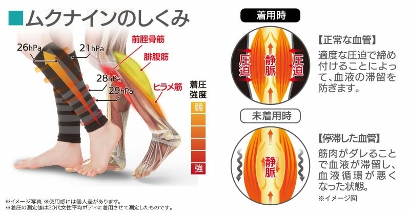 インポテンスニーモニックを引き起こす薬