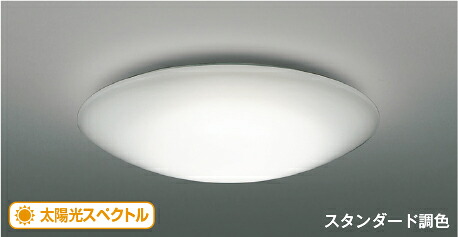 洋室用 最高限度ともし火 特集 天井照明-インテリア・寝具・収納
