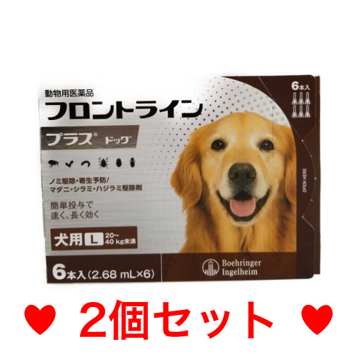 楽天市場 動物用医薬品 フロントラインプラス 犬用 L 40kg未満 6本入 フロントラインプラス 本間アニマルメディカルサプライ