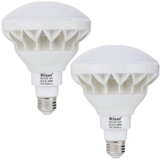 LEDビーム電球IP65防水超明るいタイプ長寿命設計140°広角バラストレス水銀灯レフランプの代替品野外看板照明3年保証E26口金(30W-昼光色ー2個入り)