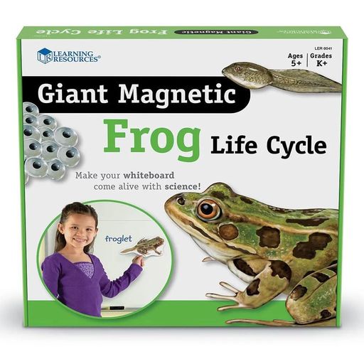 ラーニングリソーシーズGiantMagneticFrogLifeCycleマグネット式カエルのライフサイクルLER6041