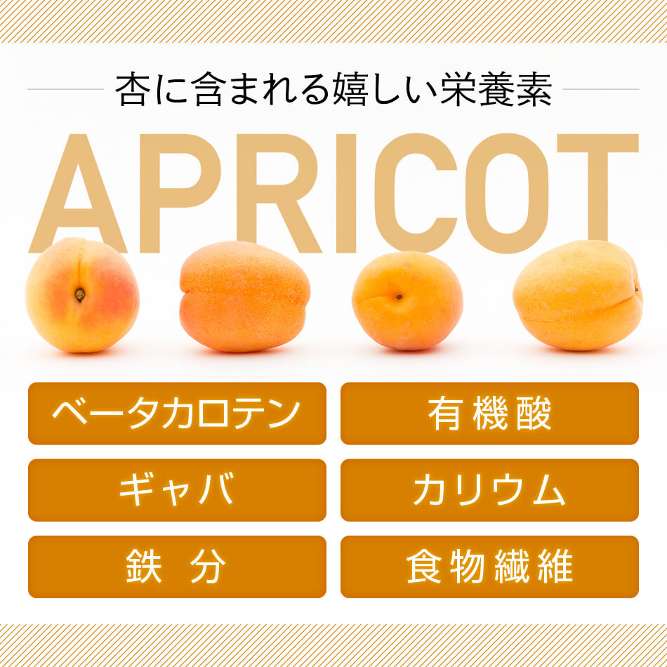 楽天市場 杏シロップ漬け 450g 長野県千曲市産 ハッピーナッツカンパニー Happynutscompany