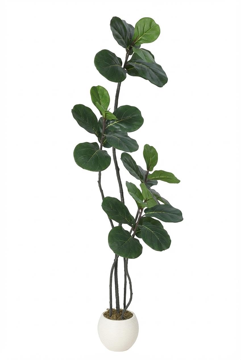 フィカス・ウンベラータ風 人工観葉植物 選べる2サイズ(約152cm・約183cm)フェイクグリーン 調整可能な枝 ホワイト鉢付き 室内用｜ハッピーライフセレクト