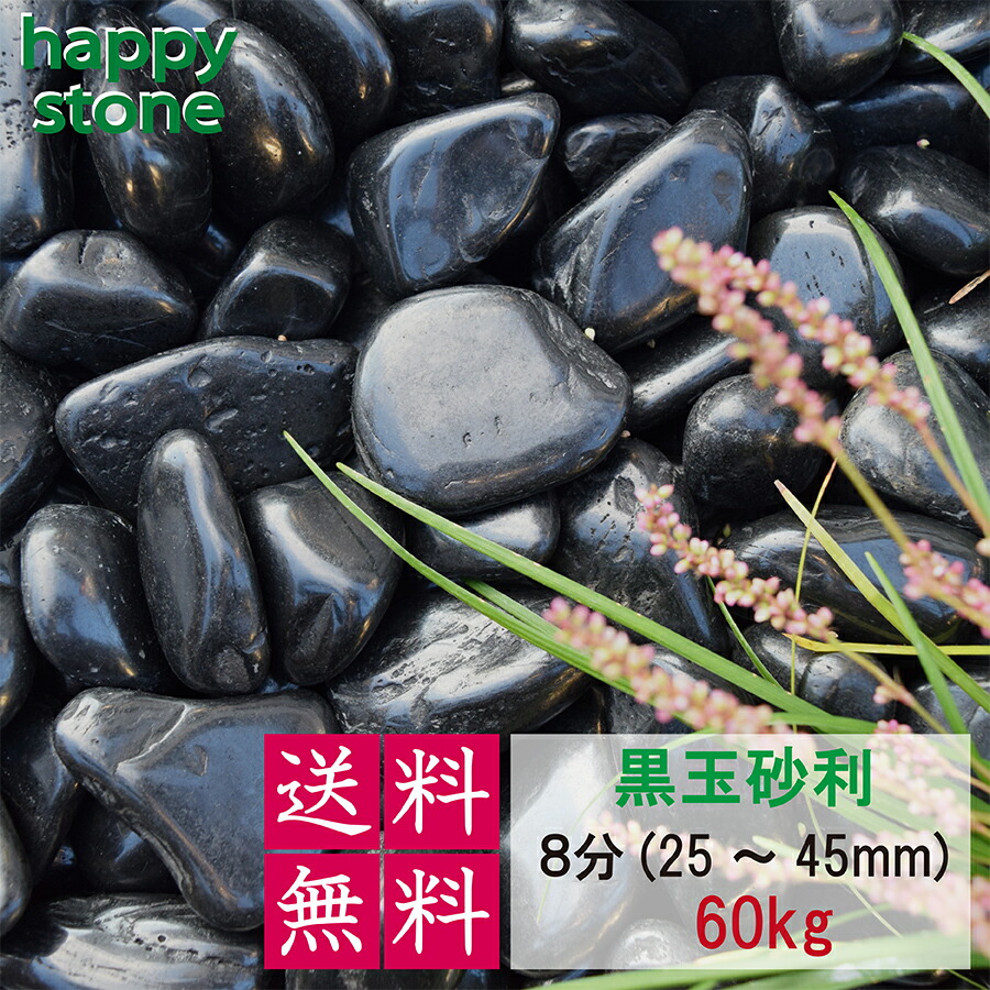 【黒の輝き】砂利 黒玉砂利 彩光石 8分 25-45mm 60kg 【送料無料】 最高級 光沢 ガーデニング DIY 墓 防犯 防草 ジャリ ピカピカ 艶 天然 化粧石 庭石 黒 玉砂利 庭 敷石 丸石 玉石 おしゃれ モダン 造園 和風 洋風 和庭 洋庭 庭園 園芸 玄関 まとめ買い 7,840円