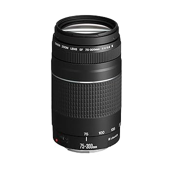【中古】(非常に良い)Canon 75-300mm f/4-5.6 EF III テレフォトズームレンズ 6473A003