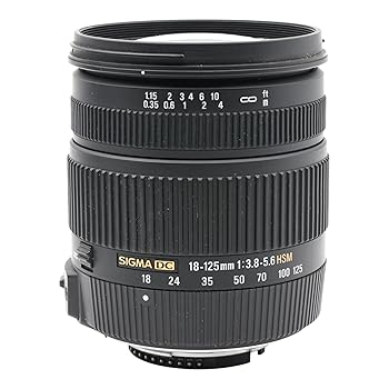 【中古】シグマ 18-125mm F3.8-5.6 DC OS HSM ニコン用 18-125mm F3.8-5.6 DC OS HSM NA