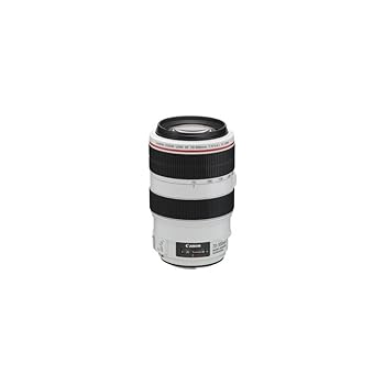 【中古】Canon EF水晶体 EF70-300粍 F4-5.6L IS USM 望遠レンズ 望遠