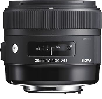 【中古】シグマ(Sigma) SIGMA シグマ Canon EF-Sマウント レンズ 30mm F1.4 DC HSM 単焦点 標準 APS-C Art 一眼レフ 専用