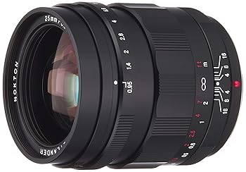 【中古】フォクトレンダー VoightLander 単興味の中心水晶体 NOKTON 25粍 F0.95 TypeII Micro Four Thirds マイクロフォーサーズ相応う 232044
