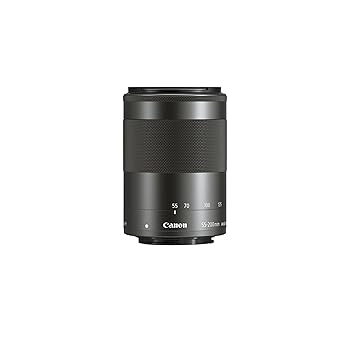 【中古】キヤノン 望遠望遠レンズ EF-M55-200粍 F4.5-6.3 IS STM 鏡鑑受け答え専用 EF-M55-200ISSTM キヤノン EF-M