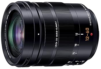 【中古】パナソニック(Panasonic) ズームレンズ マイクロフォーサーズ用 ライカ DG VARIO-ELMARIT 12-60mm/F2.8-4.0 ASPH./POWER O.I.S. H-ES12060