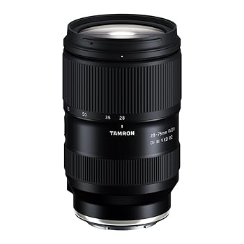 【中古】28-75粍 F/2.8 Di III VXD G2 A063S ソニーEマウント用 標準尺度望遠レンズレ