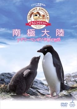 【中古】「どうぶつ奇想天外!」presents南極大陸・アデリーペンギン子育て物語 [DVD]