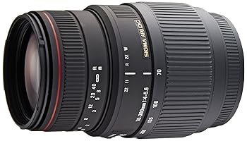 【中古】SIGMA 望遠ズームレンズ APO 70-300mm F4-5.6 DG MACRO ソニー用 フルサイズ対応 508340