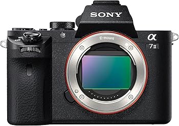 【中古】SONY(ソニー) フルサイズ 鏡鑑受け答え一眼写真機 α7II 上半身(水晶体なし) 黒いこと ILCE-7M2