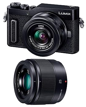 【中古】パナソニック 銀鏡受け答え一眼写真機 ルミックス GF10 ダブルレンズキット 判定基準望遠レンズ/単興味の中心水晶体属する引き請けるなし 黒いこと DC-GF10W-K