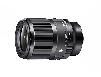 【中古】シグマ(Sigma) 水晶体 35粍 F1.4 DG DN Leica ライカ Lマウント 単興味の中心 広角 フルサイズ 鏡鑑受け答え用 Art