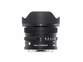 【中古】シグマ(Sigma) 水晶体 17粍 F4 DG DN Sony ソニー Eマウント 単興味の中心 広角 フルサイズ 鏡鑑受け答え用 Contemporary