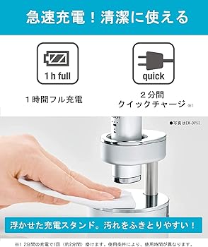 【中古】（人並み外れたに好いたらしい）パナソニック 電動歯刷子 ドルツ しろがね色 EW-DP53-S ※替え毛はらい皆無