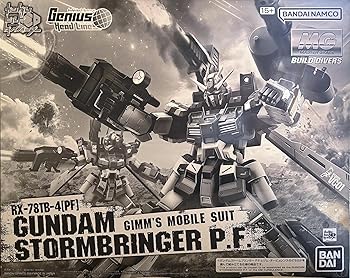 【中古】ＭＧ 1/100 ガンダムストームブリンガー Ｐ.Ｆ.