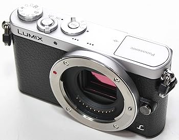 【中古】パナソニック(Panasonic) デジタル一眼写真機 ルミックス GM1 しろがね色 DMC-GM1 上半身