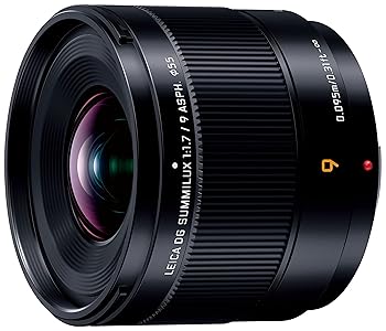【中古】パナソニック(Panasonic) Panasonic 広角 単興味の中心 LUMIX 写真機水晶体 取り替えっこ能力のある水晶体 デジタル一眼写真機用 H-X09