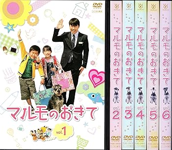 【中古】(非常に良い)マルモのおきて 1～6 [レンタル落ち] (全巻セットDVD) [ DVDセット商品]｜ハッピーストア藤岡