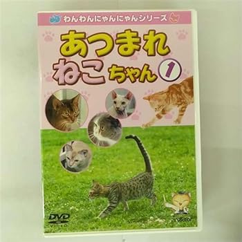 【中古】(非常に良い)わんわんにゃんにゃんシリーズ あつまれねこちゃん(1) [DVD]｜ハッピーストア藤岡