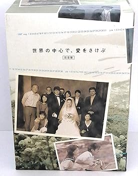【中古】(非常に良い)世界の中心で、愛をさけぶ DVD-BOX|ハッピーストア藤岡