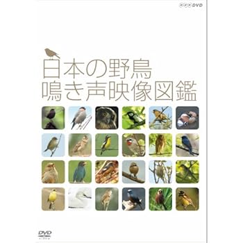 【中古】(非常に良い)日本の野鳥 鳴き声映像図鑑 DVD【NHKスクエア限定商品】|ハッピーストア藤岡
