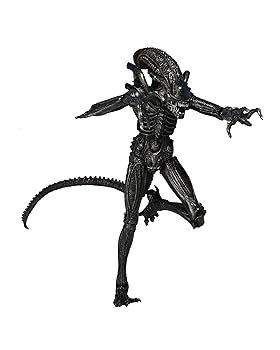 【中古】(非常に良い)NECA ネカ エイリアン Xenomorph ゼノモーフ ウォーリア ブラック ver.｜ハッピーストア藤岡