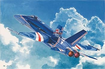 【中古】ホビーボス 1/48 エアクラフトシリーズ オーストラリア空軍 F/A-18Cホーネット プラモデル 85809｜ハッピーストア藤岡 14,098円