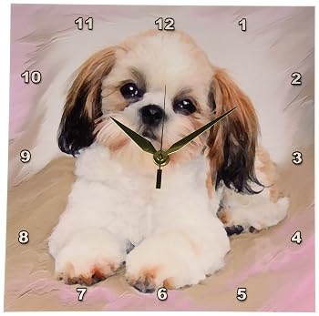 【中古】3Dローズ 犬 シーズー - シーズー 子犬 - 壁時計 - 約25 x 25cm (10 x 10インチ) 壁時計 - dpp_4807_1 (並行輸入)｜ハッピーストア藤岡