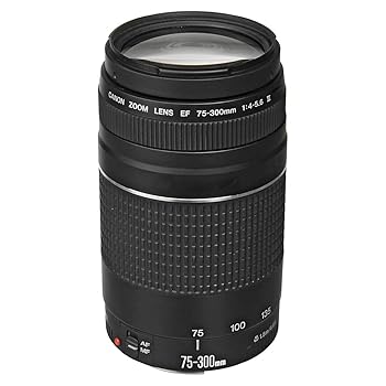 【中古】Canon EF 75 ? 300 mm f / 4 ? 5.6 III望遠ズームレンズfor Canon SLRカメラ、6473 a003 (認定Refurbished )｜ハッピーストア藤岡