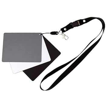 【中古】(非常に良い)Promaster デジタル露出カード 8 x 10インチ（2パック）｜ハッピーストア藤岡