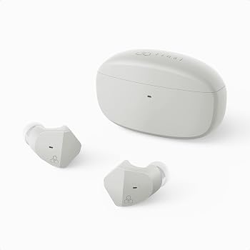 【中古】(非常に良い)【ASH GRAY】final ZE2000 完全ワイヤレスイヤホン|ハッピーストア藤岡
