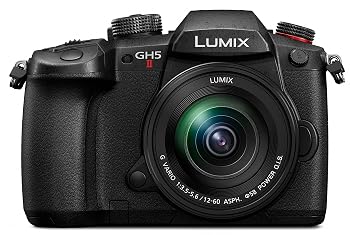 【中古】パナソニック(Panasonic) ミラーレス一眼カメラ ルミックス GH5M2 レンズキット 標準ズームレンズ付属 ブラック DC-GH5M2M｜ハッピーストア藤岡