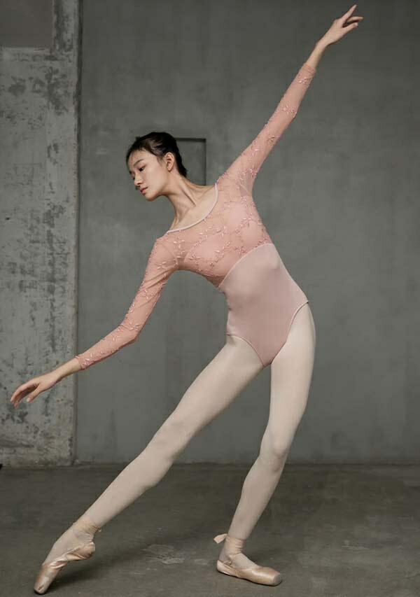 新作登場 レオタード ブラック 刺繍 大人 花柄 バレエ レエレオタード 春 練習着 ステージ 長袖 秋 レース 冬 韓国 お洒落 ロングスリーブ ジュニア 舞台衣装 バレエ衣装 新体操 体操 レッスン ステージ 練習着 S Xl ピンク ブラック Dm139f4f4f4 発表会ドレス