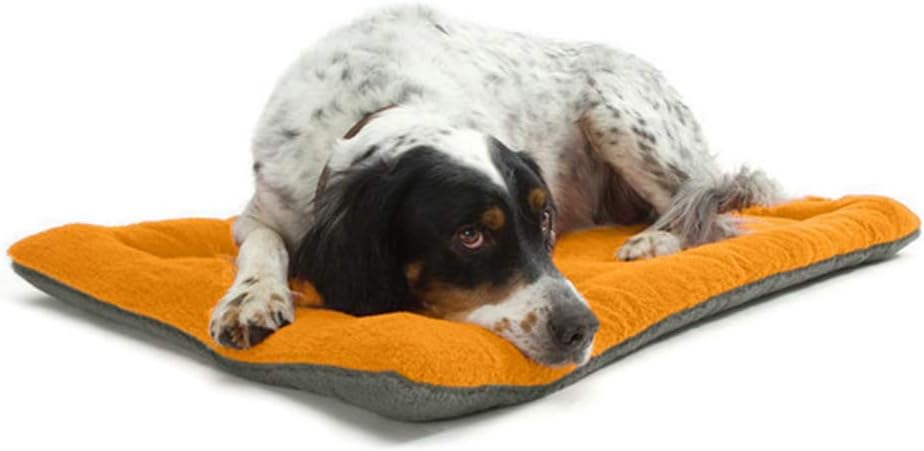 猫 ベッド 犬 ベッド ペット用クッション 通気 通年 犬用クッション 耐噛み素材 ペットクッション 犬猫犬ベッド 寒さ対策 柔らかい 猫が喜ぶベッド 厚手 防止 吸湿通気 蒸れにくい パッド 落ちな｜ハッピートゥデイ