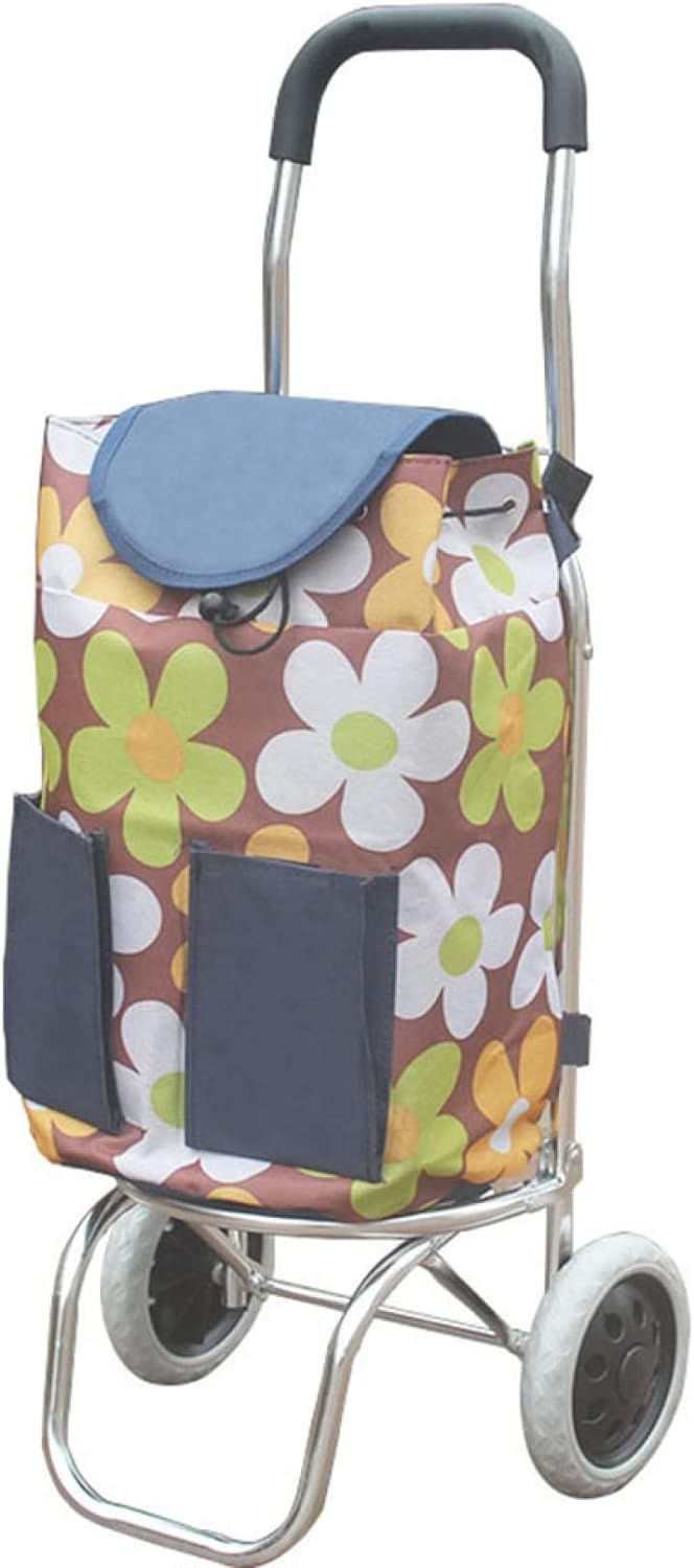 買い出し手押し車 買い出し手押し車 35L ショッピングキャリー 折りたたみ 買い出し 今めかしい 2輪 軽さ 静音 大静電容量 パウダーコンパクト アウトドア 横押し御手々 可愛らしい 向こう見ず タイア お買い出し持ちはこび