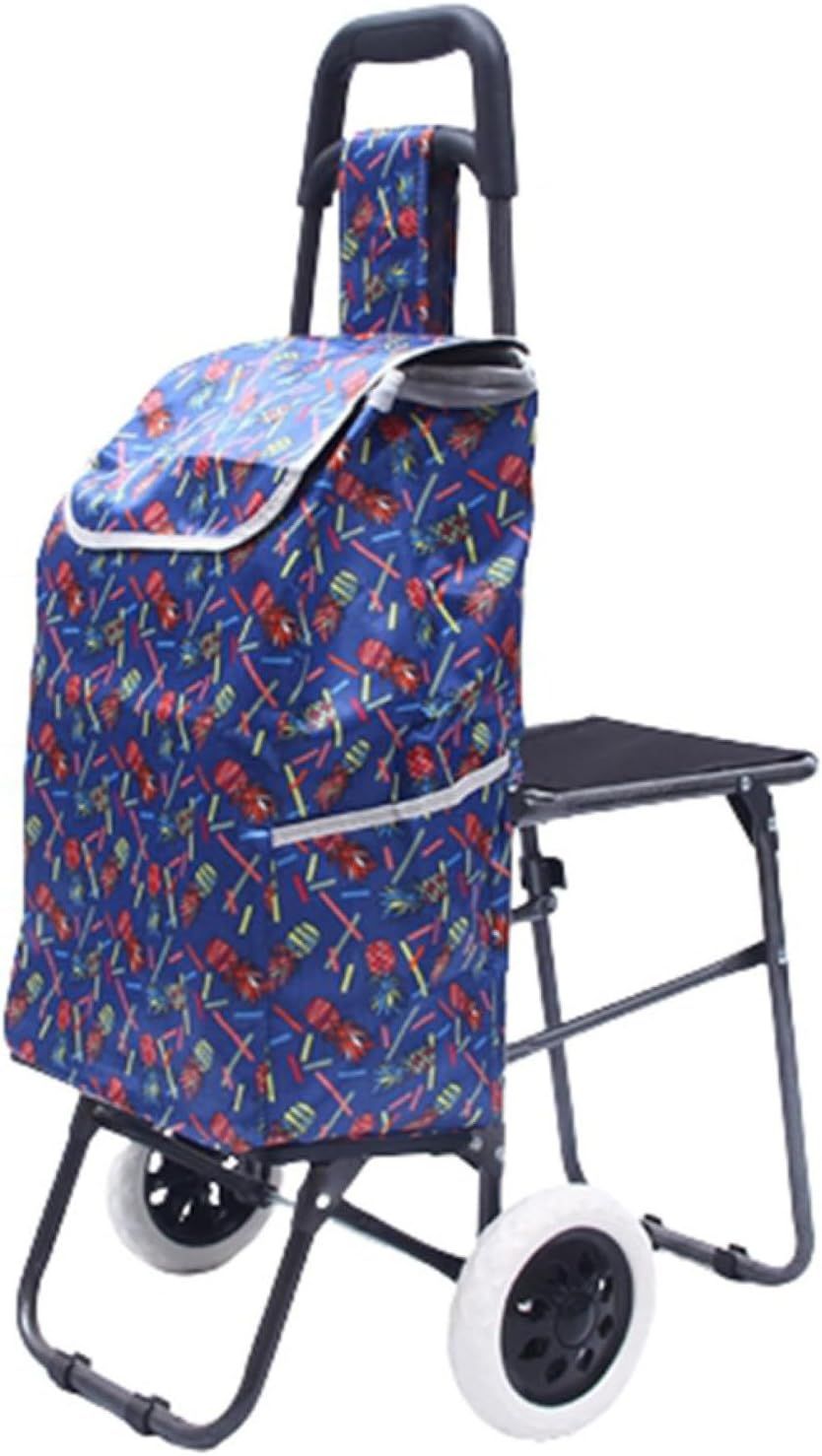 買い出し手押し車 買い出し手押し車 30L ショッピングキャリー 折りたたみ 軽さ 2輪 大静電容量 静音 パウダーコンパクト 今めかしい 買い出し アウトドア 居敷き付き添い人 持ちはこび手押し車 エコ御徒面子 しろがね色手押し車 ア