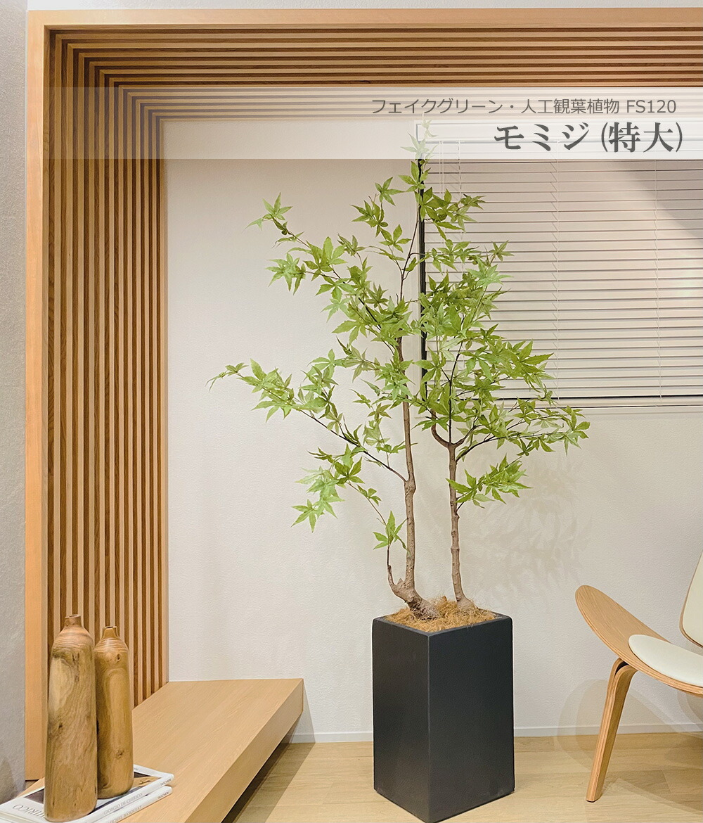 【楽天市場】植木鉢 28cm 観葉植物鉢 フェイク グリーン鉢 庭木鉢 正方形 軽量セメント ファイバーセメント 大型 インテリア おしゃれ F10-28  送料無料 : 晴々ガーデン