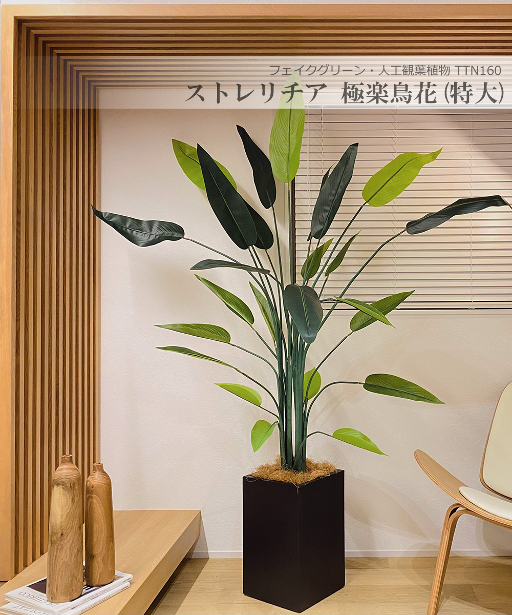 ギフト 光触媒 人工観葉植物 ウォールグリーン フェイクグリーン